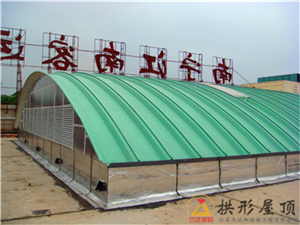 拱形波紋鋼屋蓋的幾點技術優勢