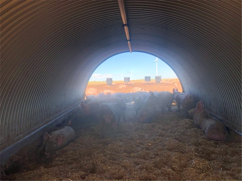 固定無梁拱形屋頂的方法都有哪些呢？