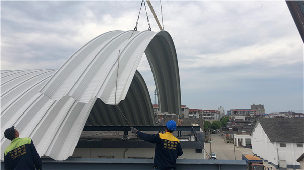 無梁拱上的陽光板有哪些獨特之處？